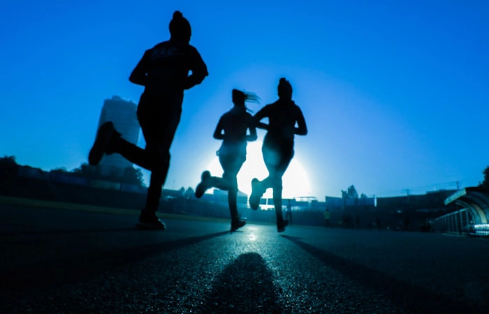 Gamification Expertise